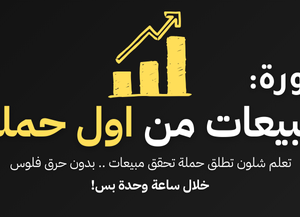 دورة مبيعات من اول حملة